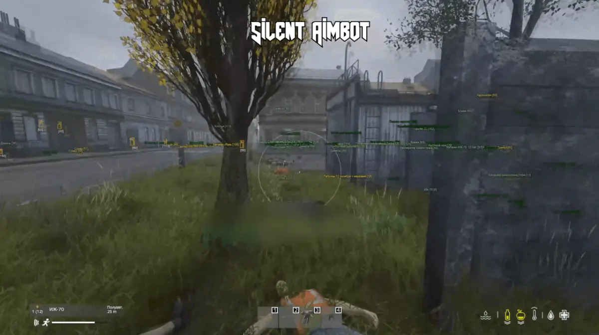 SOFTHUB — DayZ screenshot 2